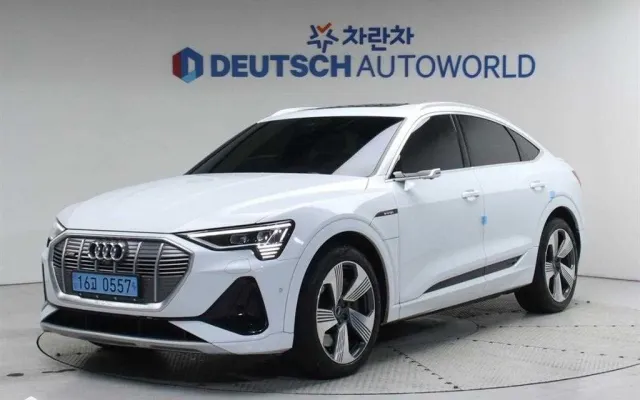 쏘울부스터EV 중고차 e-트론 55 콰트로 스포트백 매물 사진 20 - 2022/07 102,237km
